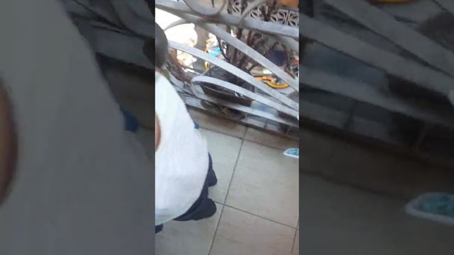 ArcherTheGreat | My little Helper. Clean up time. смотреть онлайн