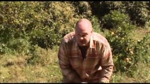 Планета Собак 6 Выпуск - Канарский дог (Канарские острова) / 2013