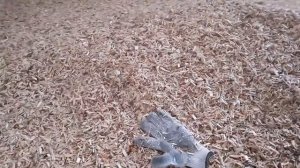 Производство щепы для арболита.