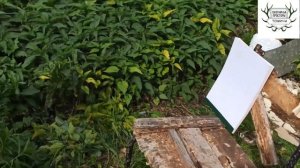 MP155 vs Ata Arms Neo Stream 12 ТЕСТ НА РЕЗКОСТЬ!!! Газоотвод или Инерционка??? Часть #2.