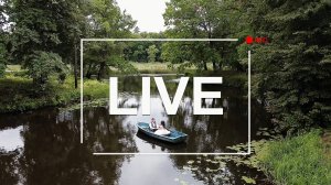LIVE