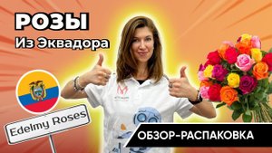 ОБЗОР-РАСПАКОВКА: микс роз из Эквадора