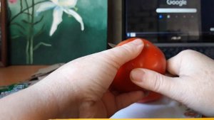 Обзор томатов "Жаркие угли" и "Клавдия"[?]...Маленькая прогулка....