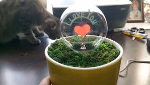 Подарок девушке своими руками ч.2