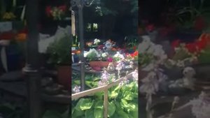 Экскурсия по даче Светланы Дружининой и Анатолия Мукасея