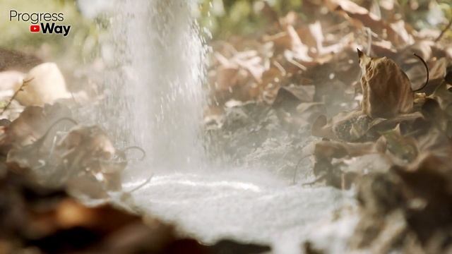 Моментальный компост! Проливаем кучу этим осенью в сентябре! Не понимаю почему другие не делают! смотреть онлайн