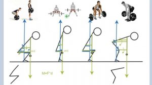 Биомеханика становой тяги: классика, сумо, "трап-штанга", румынская.