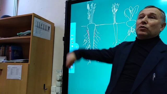 Как вытягивать морковку из земли? смотреть онлайн