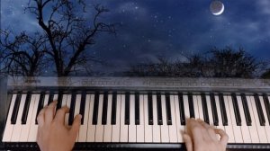 Чёрные Глаза - Yamaha PSR - 640