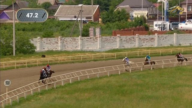 Скачки. Большой Летний приз. Краснодар. Летний приз. Ахалтекинская порода. гр.II. 29.05.2021 смотреть онлайн