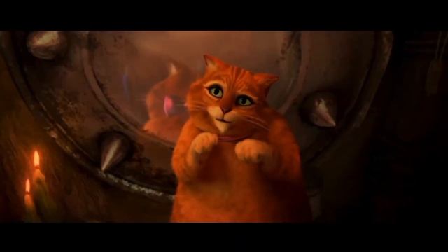 Толстый кот из шрека