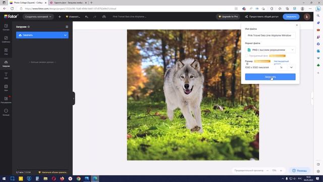Крутой графический редактор fotor и где можно удалить фон бесплатно смотреть онлайн
