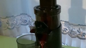 Выжали сок из вишни! Обзор шнековой соковыжималки Kitfort KT-1123-1