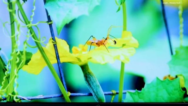 ASUS ROG Swift PG27UQR Gaming Monitor (2023) | The Best 27-inch 4K 160Hz Gaming Monitor смотреть онлайн