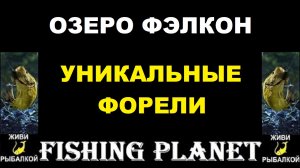 Ловля уникальных форелей на озере Фэлкон в игре Fishing Planet