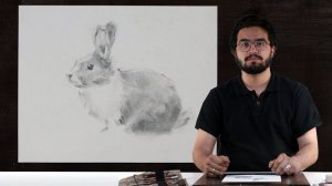 Экспресс-урок по графике «Кролик» | Как нарисовать кролика поэтапно