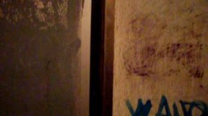 Электрический лифт V=0.71 м-с, грузоподъемность 320 кг (194)