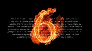 Число судьбы 6