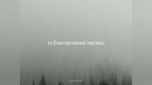 Успокаивающее чтение Корана! Сура 82 "Аль - Инфитар". Идрис Абкар