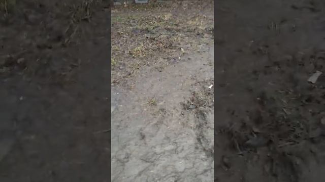 Инвалиды на колясках должны ездить по это дороге. смотреть онлайн