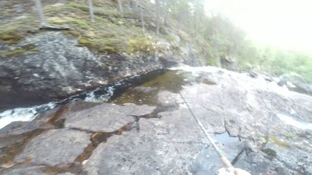 ФОРЕЛЬ. РЫБАЛКА на серебряном ручье. К водопаду за РУЧЬЕВОЙ ФОРЕЛЬЮ.