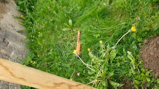 На сколько сдвинулась монета за зиму. Эксперимент кладоискателя. смотреть онлайн