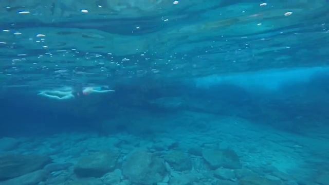 Научиться плавать: «с нуля» до заплывов на открытой воде. Техника Total Immersion. смотреть онлайн