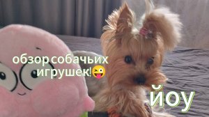 Это обзор собачьих игрушек! 😜