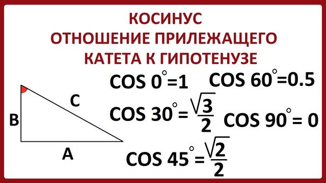 Что такое косинус? Как найти косинус? Урок для 8-го класса смотреть онлайн