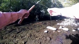Tenkara Line Setup: Furled Leader vs Tapered Nylon Leader for Fly Fishing Review