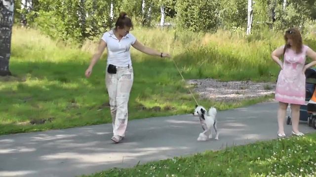 Продажа. ОПУС ПАЛМАРЭ БАЛОВЕНЬ СУДЬБЫ. смотреть онлайн