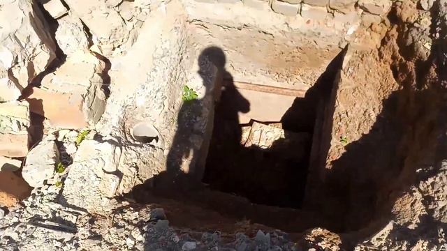 Исследую заброшенные сады в поисках черешни. Лиман, Дроновка, Северск. смотреть онлайн