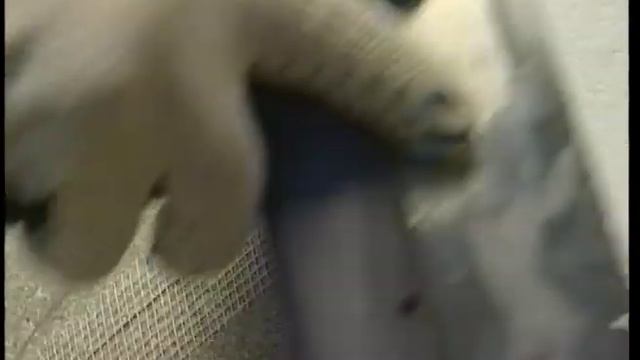 Использование влагостойкой ДСП QuickDeck для пола в гостиной смотреть онлайн