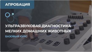 Ветеринарная ультразвуковая диагностика мелких домашних животных. Базовый курс.