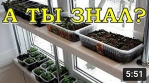 Если РАССАДУ некуда поставить... ПОЛКИ на ПОДОКОННИКЕ - супер решение!???