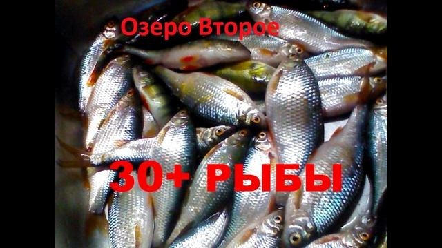 Рыбалка в Челябинской области.