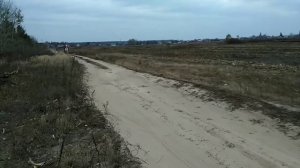 Владимирский Тяжеловоз, лошадь второй раз под седлом. #ВладимирскийТяжеловоз #верховаяезда