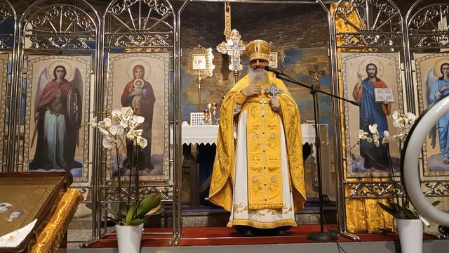 Слово после ночной Литургии праздника апостола Андрея Первозванного смотреть онлайн