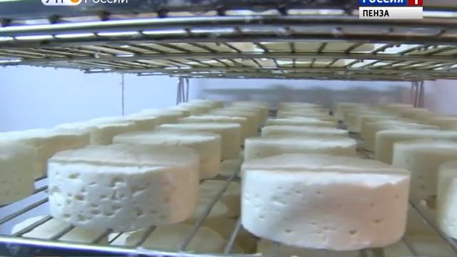 Сделано в Пензе: французские и итальянские сыры смотреть онлайн
