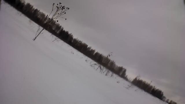 AR.DRONE потерял сигнал и улетел в свободный полет...