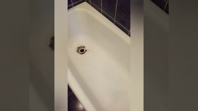 Эмалировка ванн Акрилом (отзыв N 38) смотреть онлайн