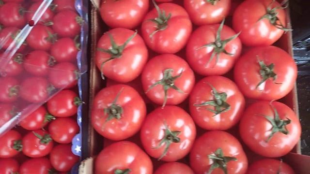 4 апреля рынок Большие Копани цены на овощи. смотреть онлайн