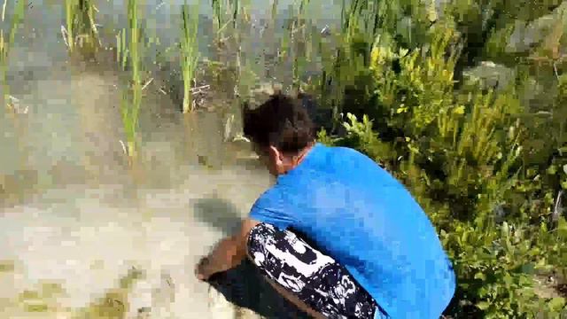 УРАЛЬСКОЕ БАЛИ! ПОЕХАЛИ С НАМИ! смотреть онлайн