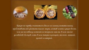 Шоколад. Вред или польза?