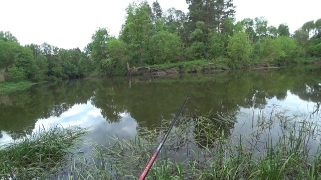 ДАВНО ЕГО НЕ ЛОВИЛ! Рыбалка на спиннинг на реке среди коряг смотреть онлайн