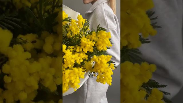 Авторский монобукет из мимозы - Обзор смотреть онлайн