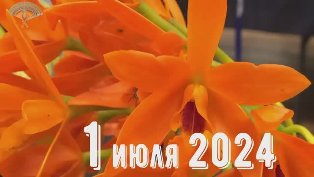 Грабли веерные Для любителей канала Грабли Live  01 07 2024