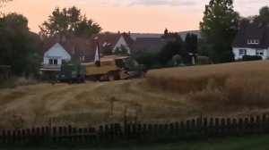 Уборка урожая овса в Германии рядом с нашим домом.