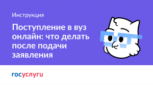 Как отслеживать свое заявление на поступление в вуз на «Госуслугах»?