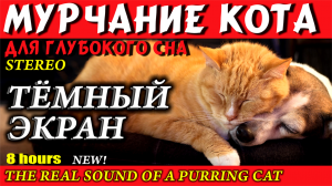 МУРЧАНИЕ КОТА  4 ЧАСА ТЁМНЫЙ ЭКРАН
CAT purring by the fire for sleeping, 8 hours. Урчание кота